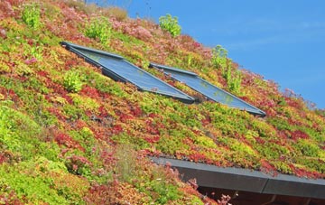 Great Sutton living roof systems